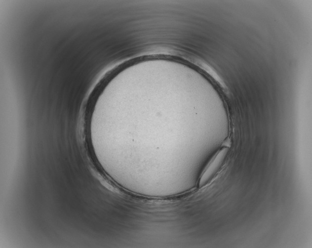 X0000111861116200908131453