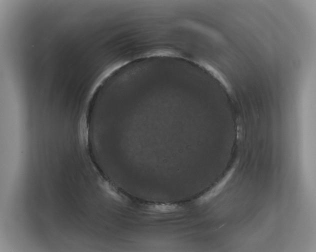 X0000111861117200908131453