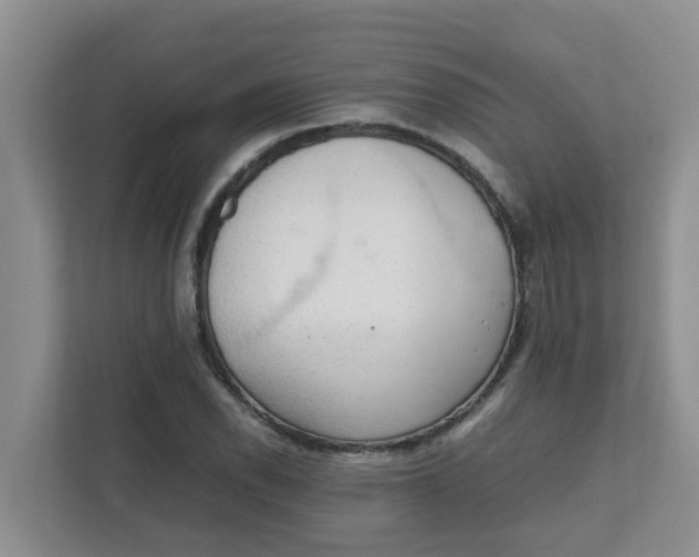 X0000111861118200908131454