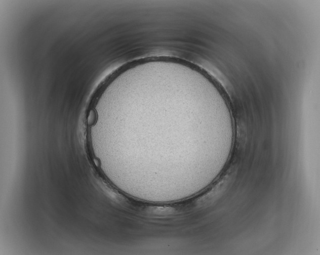 X0000111861119200908131454