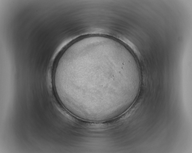 X0000111861120200908131454