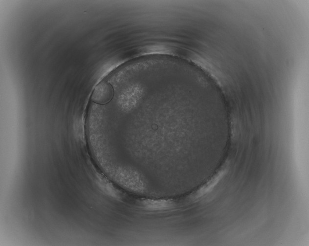 X0000111861121200908131454