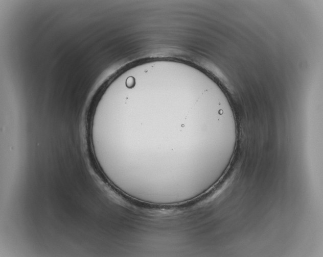 X0000111861122200908131454