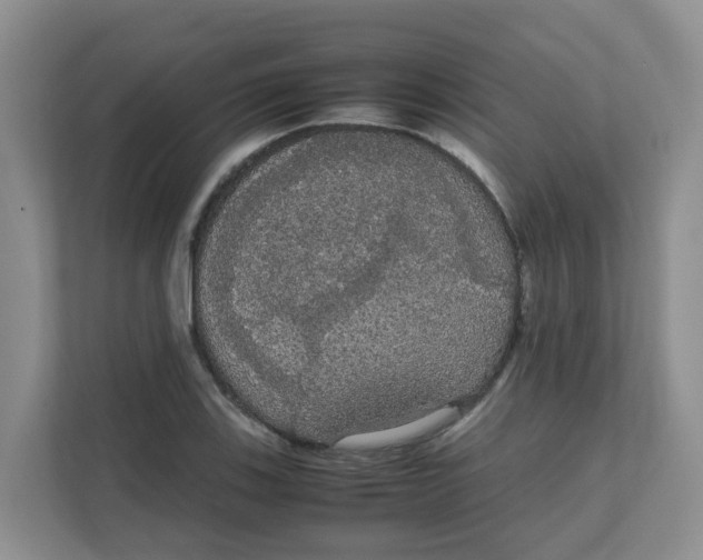 X0000111861123200908131454