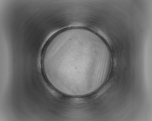 X0000111861124200908131454