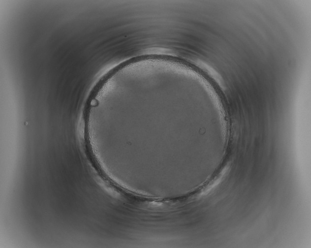 X0000111861125200908131454