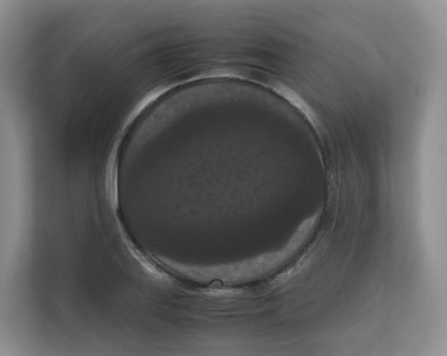 X0000111861127200908131454