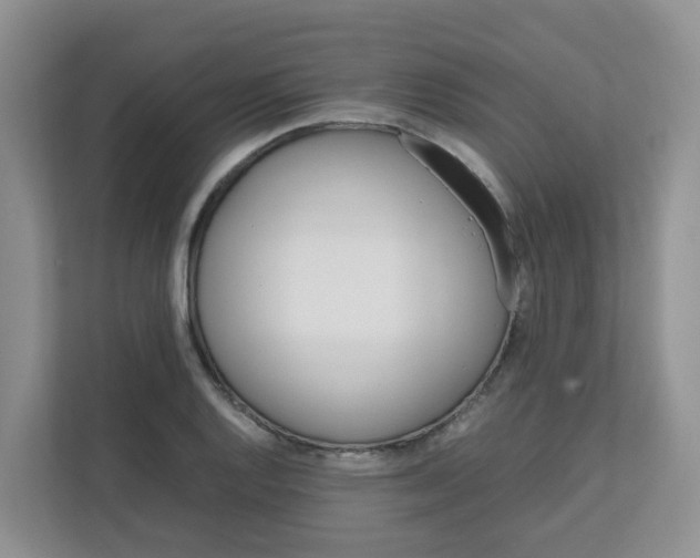 X0000111861128200908131454