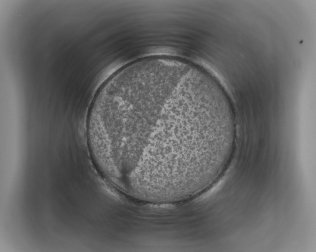 X0000111861129200908131454