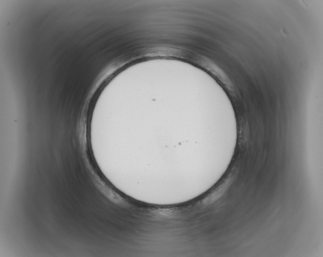 X0000111861130200908131454