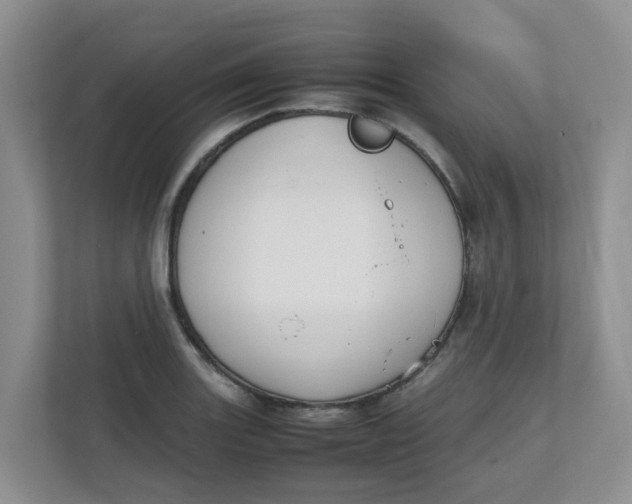 X0000111861131200908131454