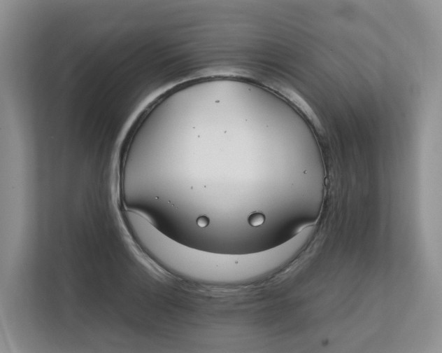 X0000111861132200908131454