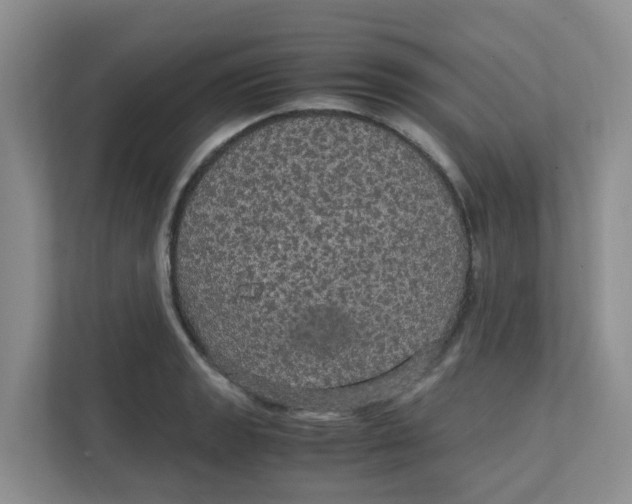 X0000111861133200908131454