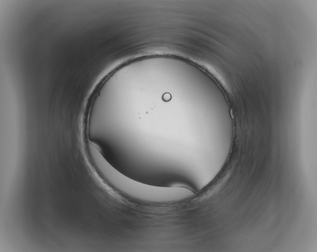 X0000111861134200908131454