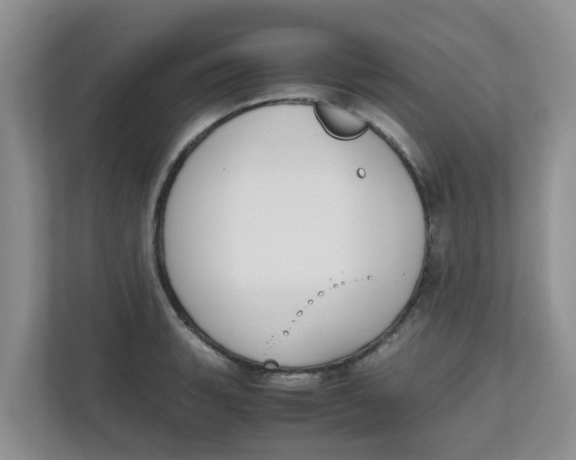 X0000111861135200908131454