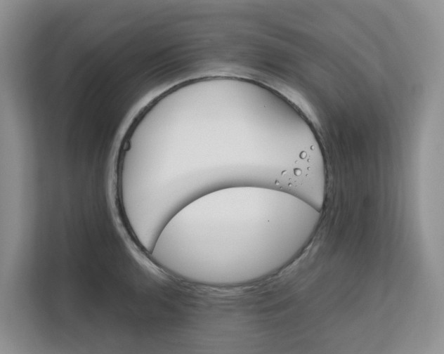 X0000111861136200908131454