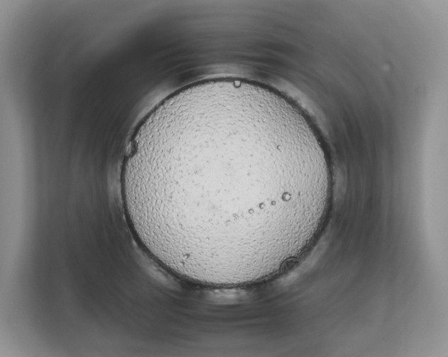 X0000111861137200908131454