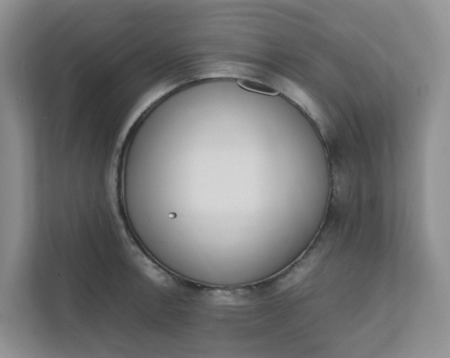 X0000111861138200908131454