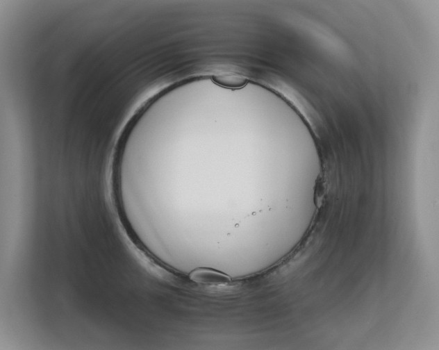 X0000111861139200908131454