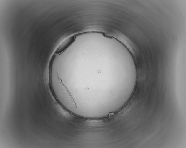 X0000111861140200908131454