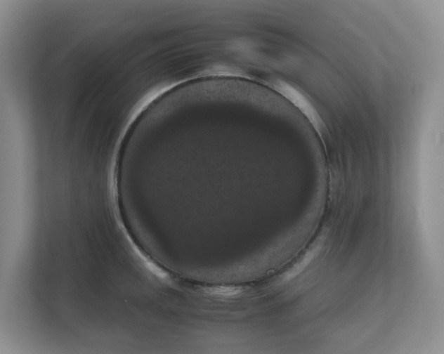 X0000111861141200908131454