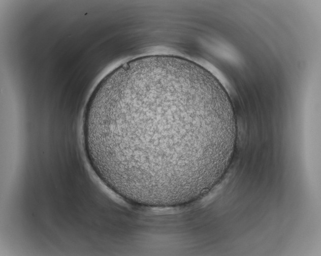 X0000111861142200908131454