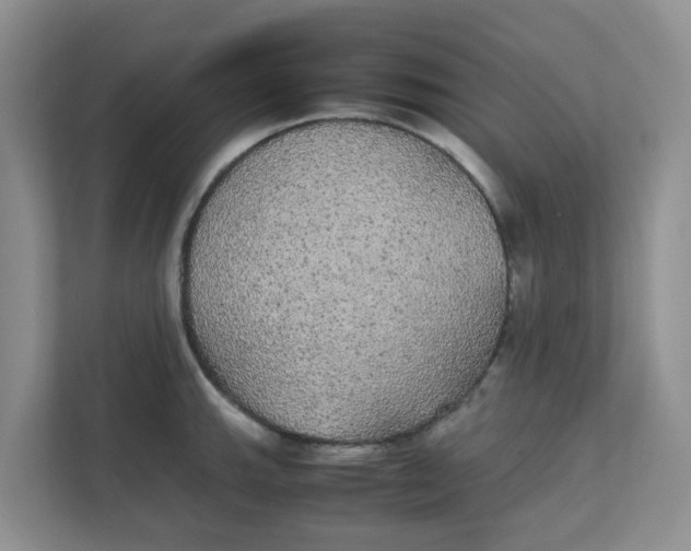 X0000111861143200908131454