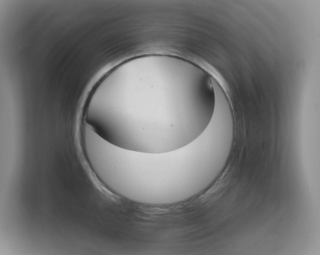 X0000111861144200908131454