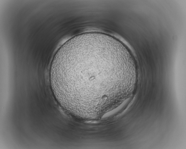 X0000111861145200908131454