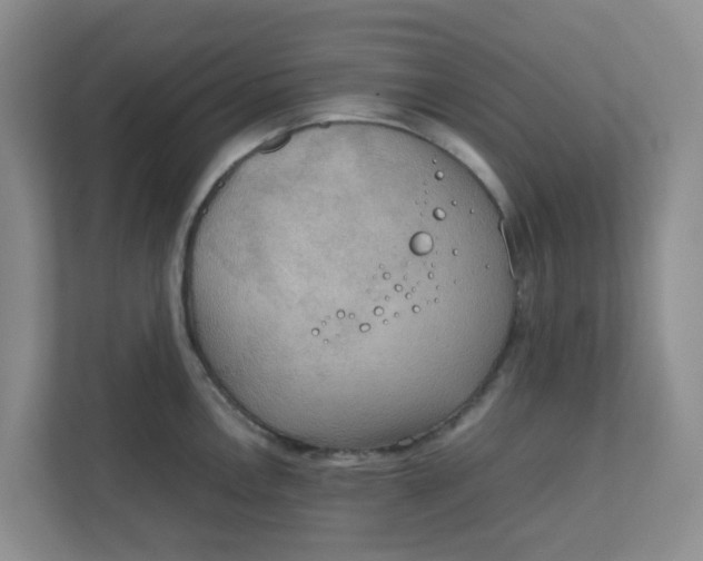 X0000111861146200908131454