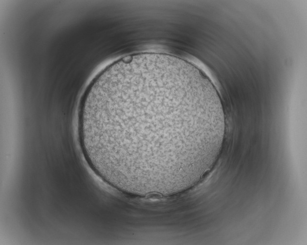 X0000111861147200908131454