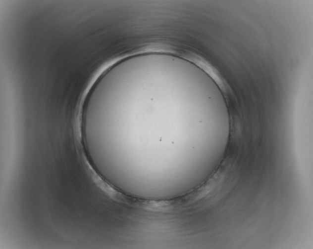 X0000111861148200908131454