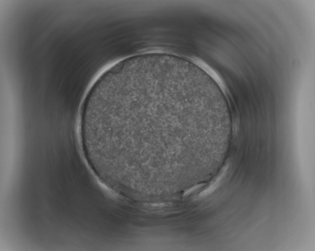 X0000111861149200908131454