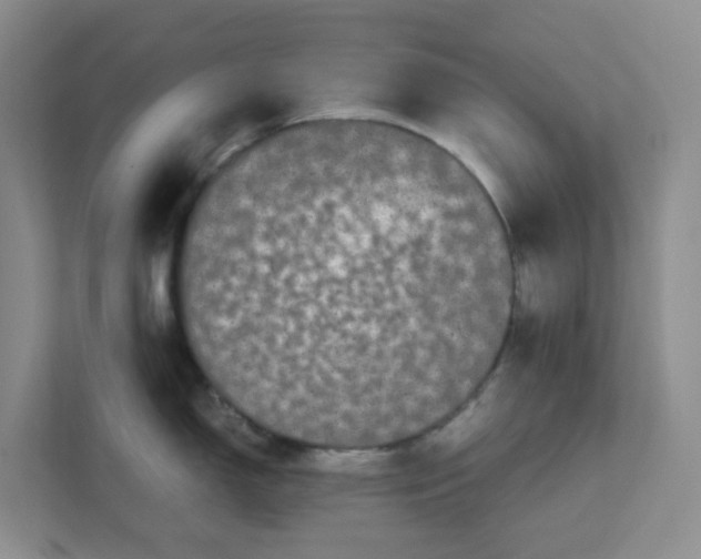 X0000111861150200908131454