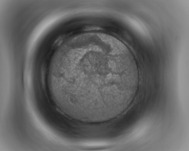 X0000111861151200908131454