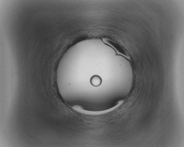 X0000111861153200908131453