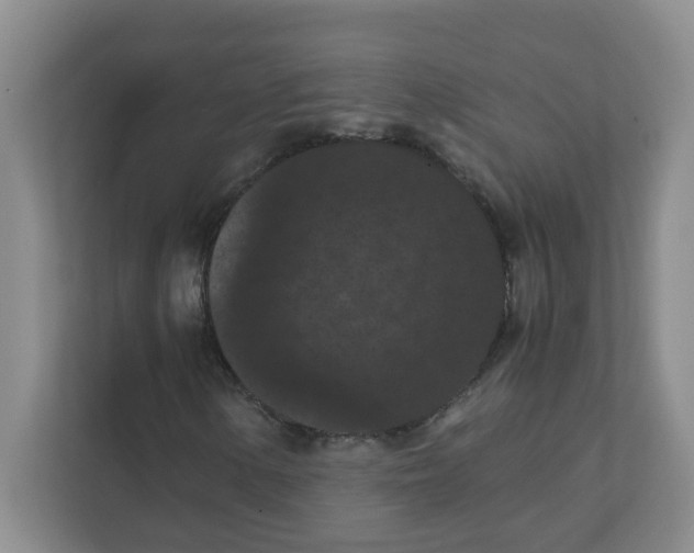 X0000111861154200908131453