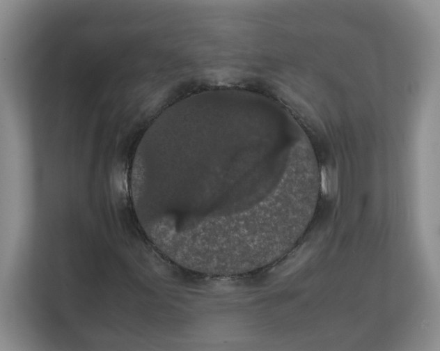 X0000111861155200908131453