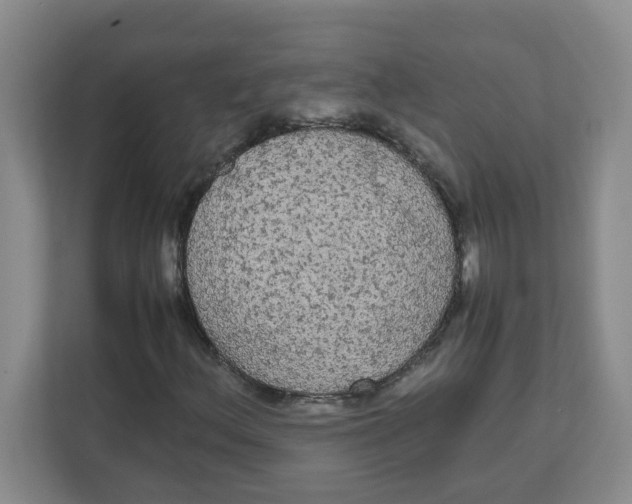 X0000111861156200908131453