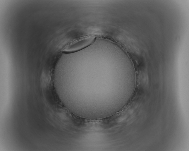 X0000111861157200908131453