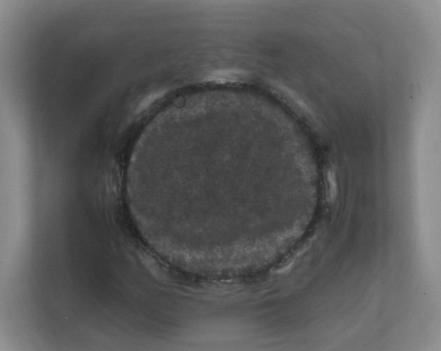 X0000111861158200908131453