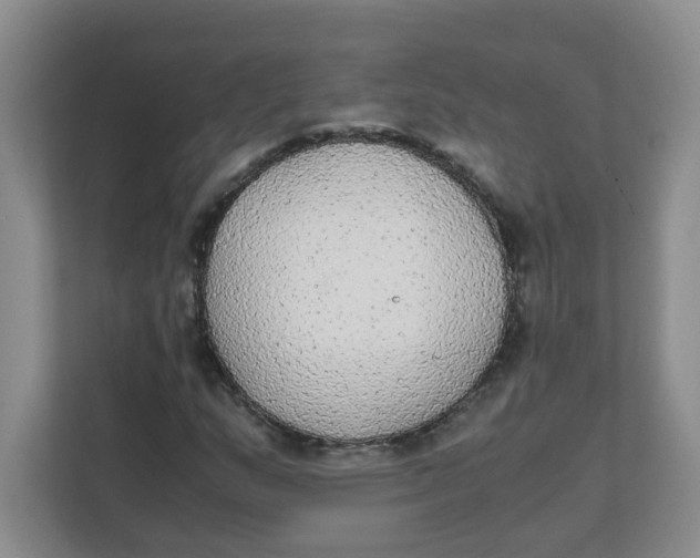 X0000111861159200908131453