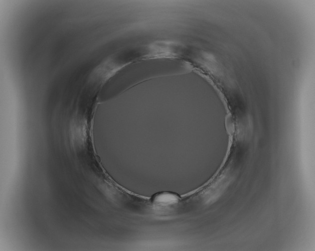 X0000111861161200908131453