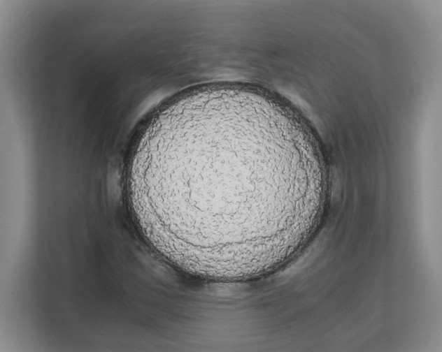 X0000111861163200908131453