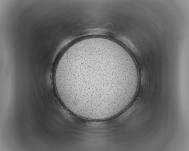 X0000111861164200908131453