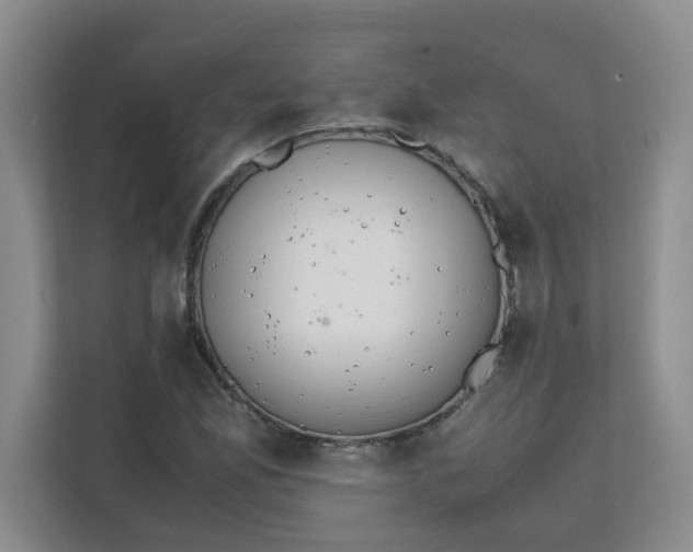 X0000111861165200908131453