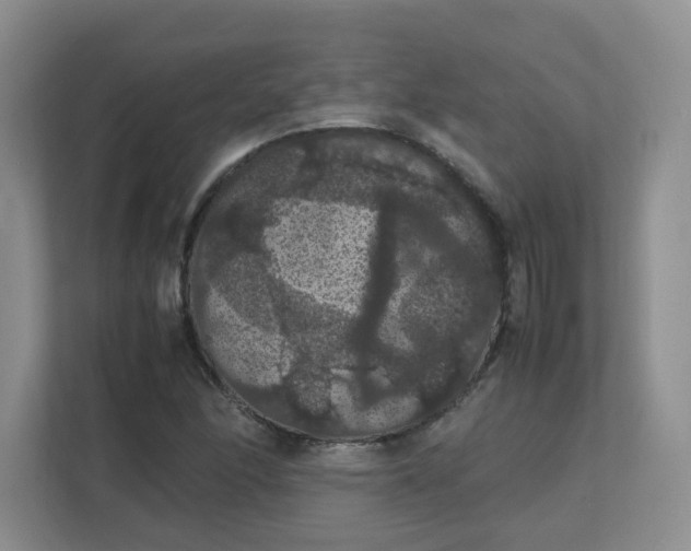 X0000111861166200908131453