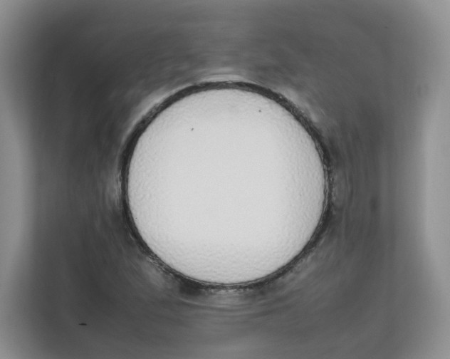 X0000111861167200908131453