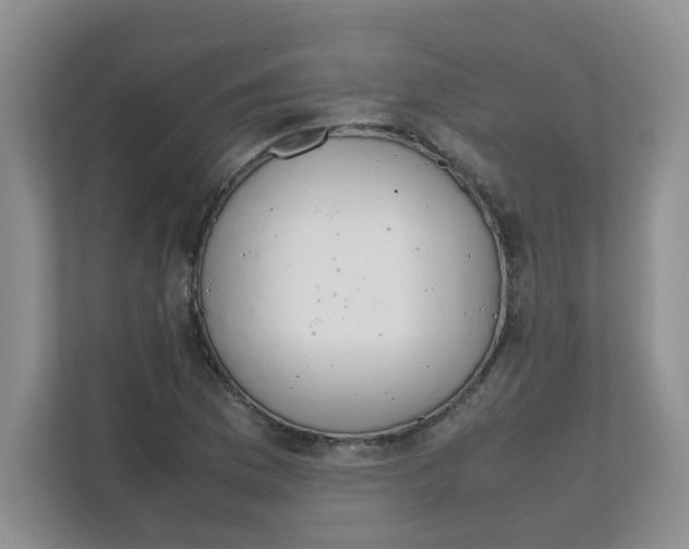 X0000111861169200908131453