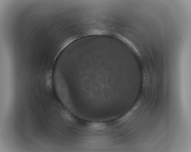 X0000111861170200908131453